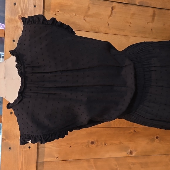 Kate Spade Brooke Swiss Dot Dress - Picture 8 of 12